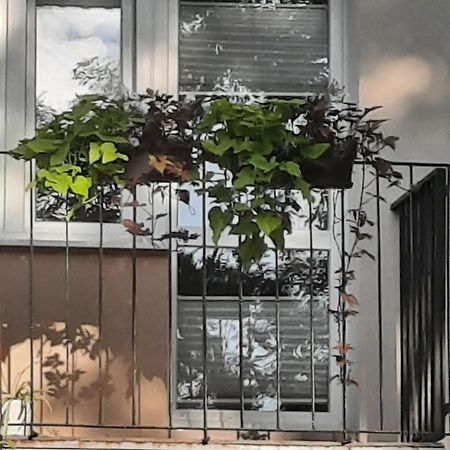 Apartament Jak W Domu Zamosc  Luaran gambar