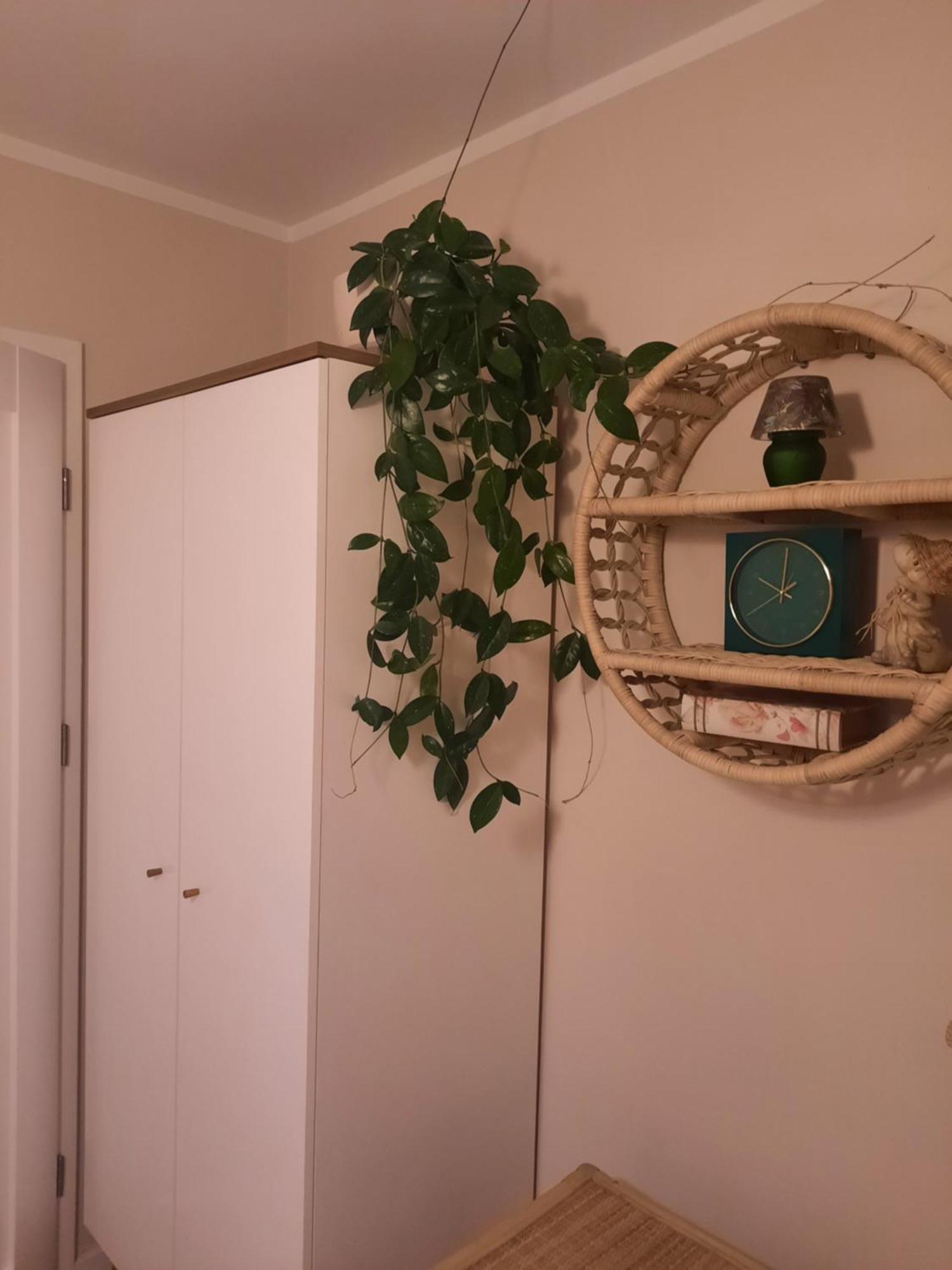 Apartament Jak W Domu Zamosc  Luaran gambar