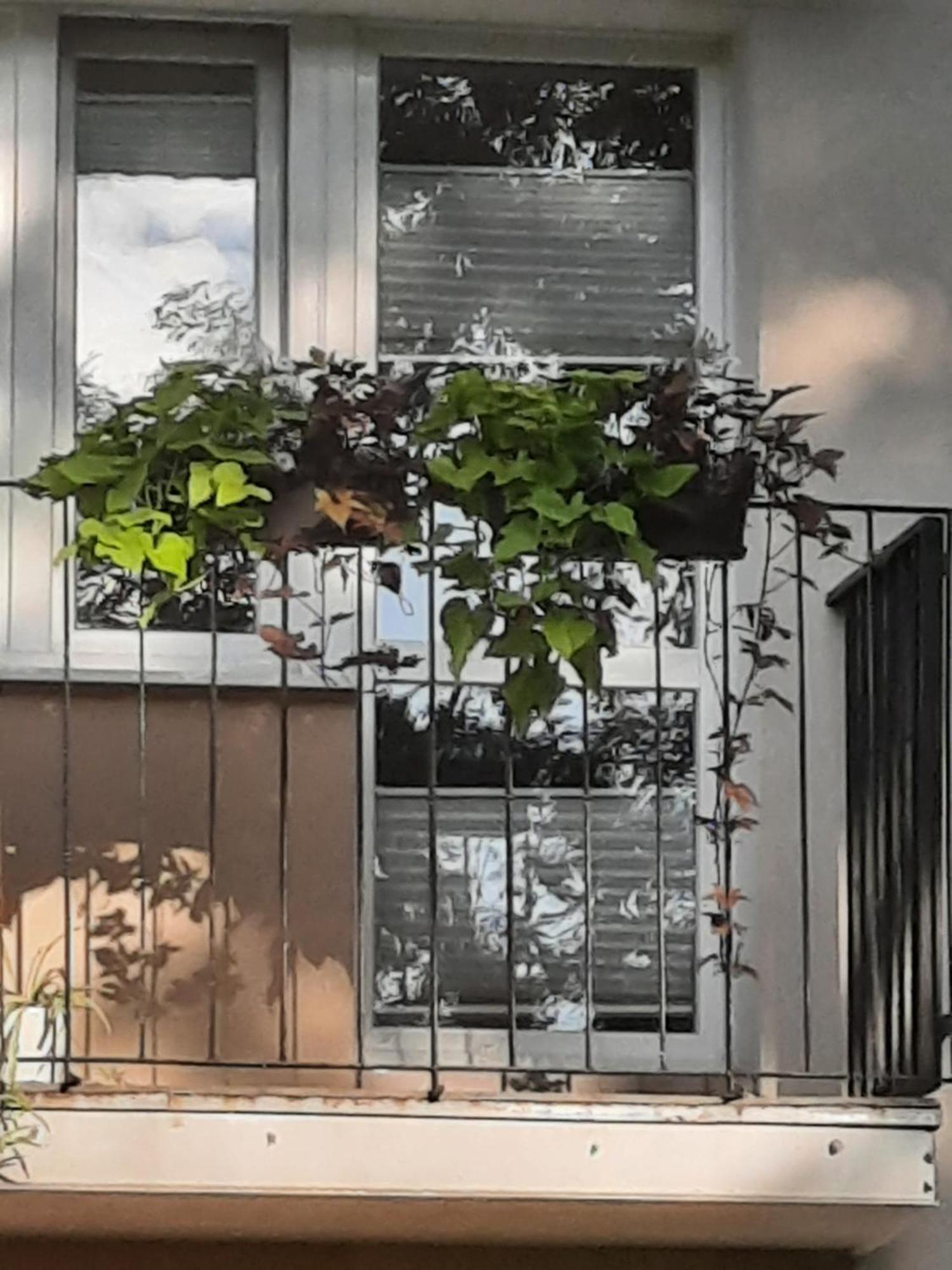 Apartament Jak W Domu Zamosc  Luaran gambar