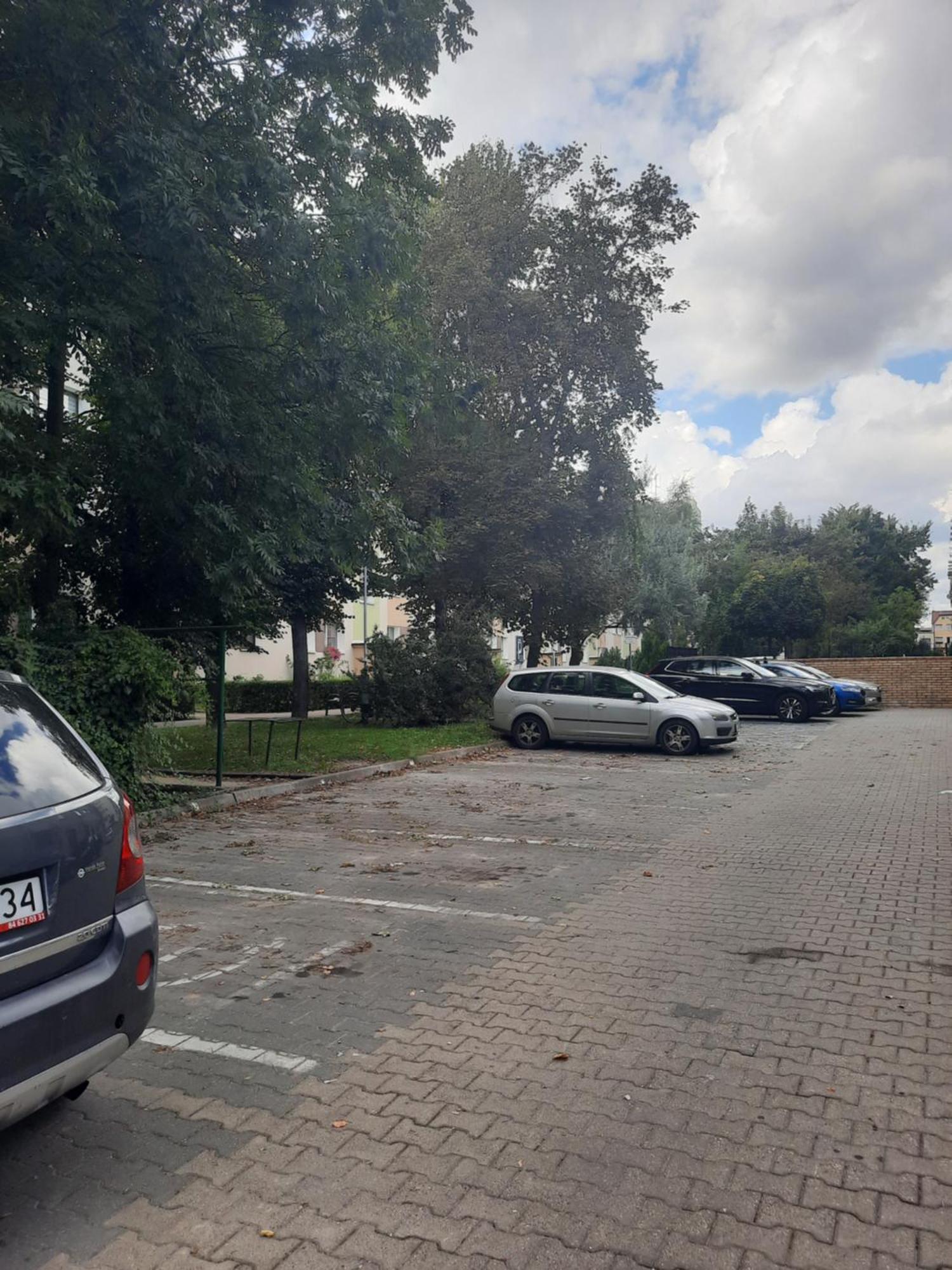 Apartament Jak W Domu Zamosc  Luaran gambar