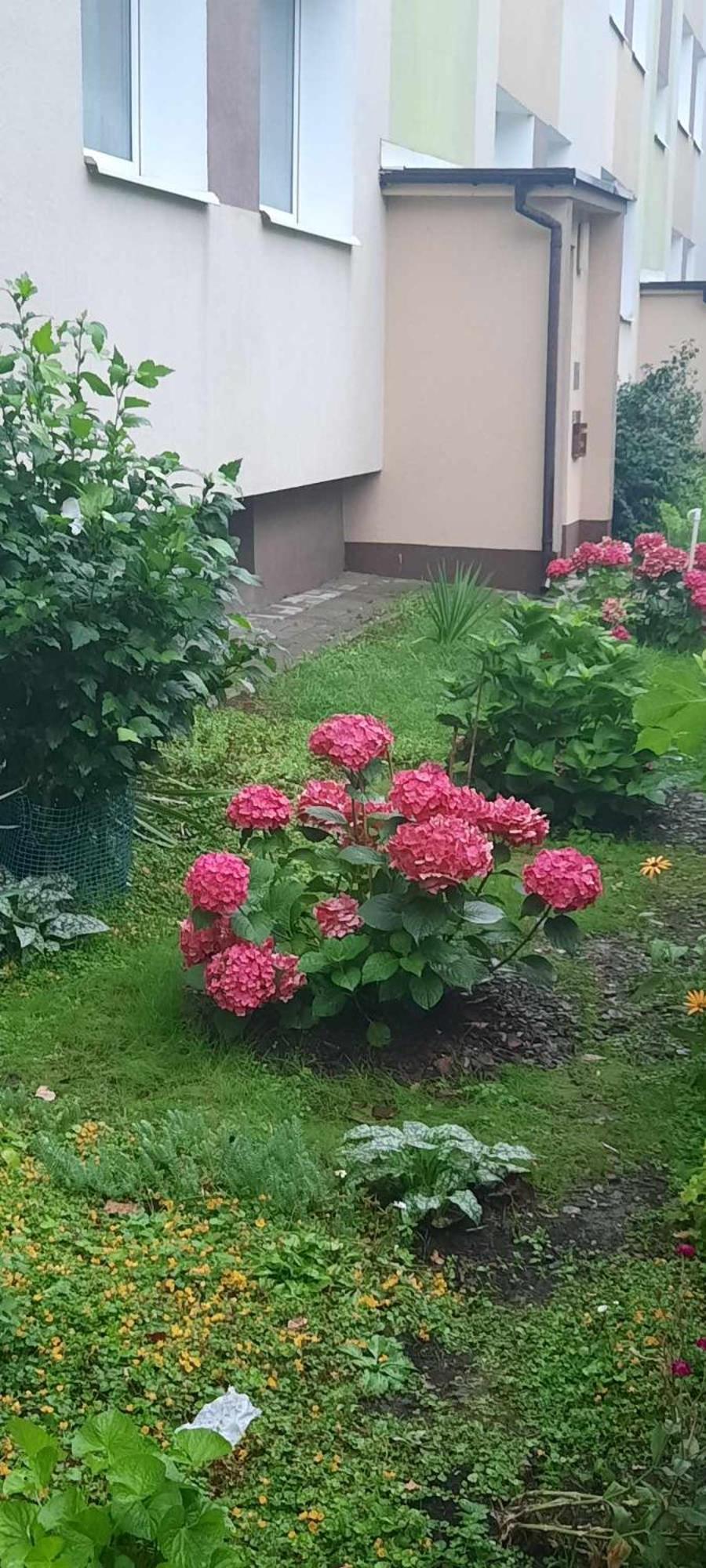 Apartament Jak W Domu Zamosc  Luaran gambar
